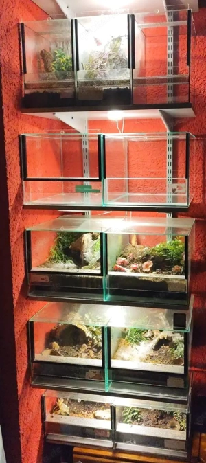 TERRARIUM 30x40x25 Doppellüftung  Kaminlüftung 