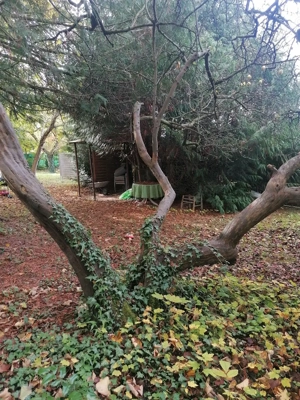 Nachpächter in gesucht Bild 9