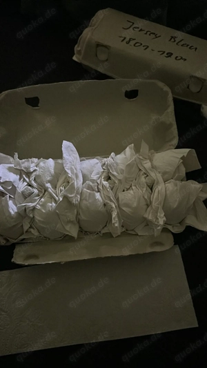 Bruteier Jersey Giant blau gesäumt Bild 4