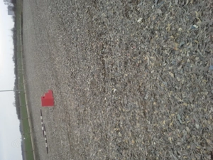 Pferdeboxen zu vermieten 24 stunden Heu