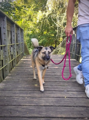 Wunderschöne Frieda 