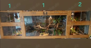Terrarium zu verschenken 