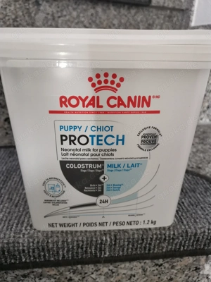 Katzen Babies Hunde Welpen Milch mit Colostrum 