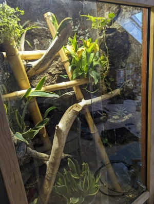 Terrarium, Holzterrarium 170 x 90 x 70