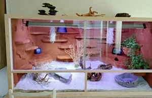 Terrarium Reptilien und Zubehör 