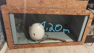 Bastler-Paket: 2 OSB-Terrarien 120 60 60 & 120 60 80 cm   Scheiben kaputt, nicht ausgestattet