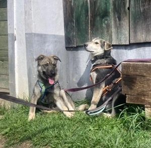 Hannah - darf ich dein Leben ein bischen bunter machen? Bild 8