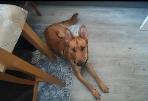 Wirklich sehr dringend!