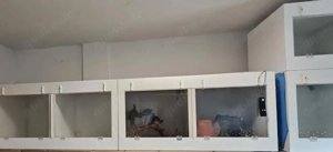 Terrariumanlage Forex 4 Stück 120