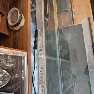 Terrarium aus Glas  Bild 8
