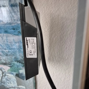 Terrarium aus Glas  Bild 2