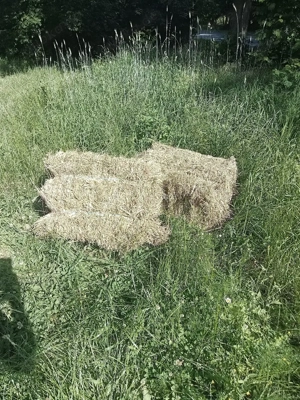 Heu in kleinen hd Quaderballen 