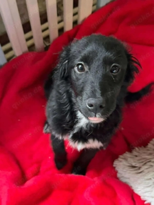 Süße Naya braucht noch Nestwärme