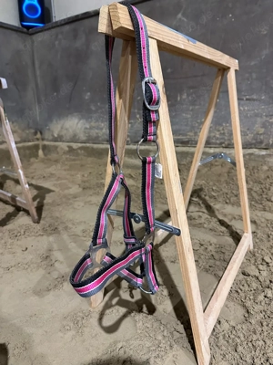 Pony Halfter