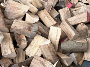 brennholz buchenbrennholz
