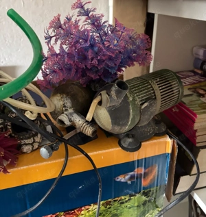Aquarium mit viel Zubehör  Bild 5