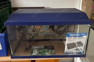 Aquarium mit viel Zubehör 