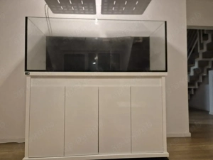 Meerwasser Aquarium NEUWERTIG   DD Reef Pro 1500 Bild 3