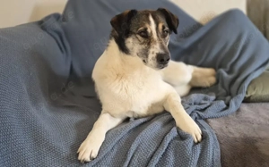 Wer schenkt Liam ein eigenes Zuhause?