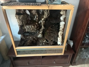 Terrarium 80x80x45 mit Strukturwand 