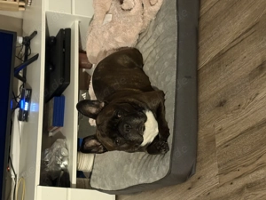 Schweres Herzens suchen wir ein liebevolles neues Zuhause 