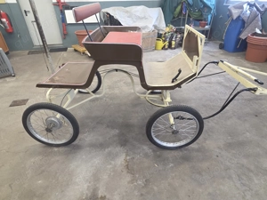 Pferdekutsche inklusive Zubehör