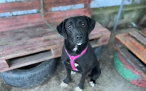 Energiegeladene Ilvy weiß, was sie will Bild 10