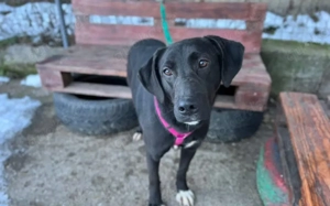 Energiegeladene Ilvy weiß, was sie will Bild 8