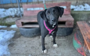 Energiegeladene Ilvy weiß, was sie will Bild 9