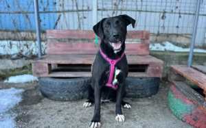 Energiegeladene Ilvy weiß, was sie will Bild 7