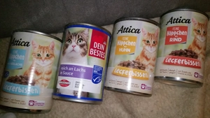 Katzen Dosenfutter zu verkaufen