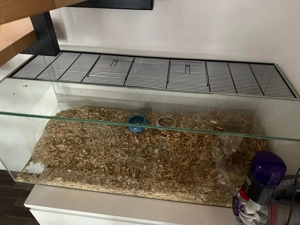 Hamsterkäfig 