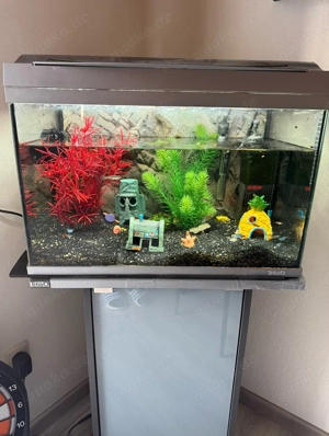 Aquarium zu verkaufen