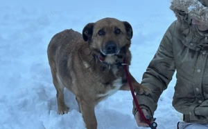 Wann findet das Glück endlich den wunderbaren Harry? Bild 6