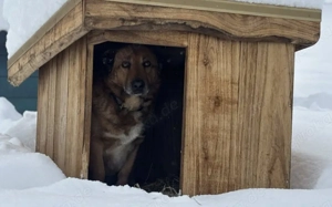 Wann findet das Glück endlich den wunderbaren Harry? Bild 2