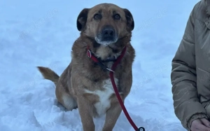 Wann findet das Glück endlich den wunderbaren Harry?