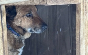 Wann findet das Glück endlich den wunderbaren Harry? Bild 7