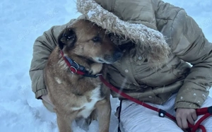 Wann findet das Glück endlich den wunderbaren Harry? Bild 5