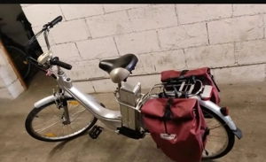 E-Bike mit Taschen