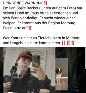 Tierquäler und Tiermöder sucht Tiere