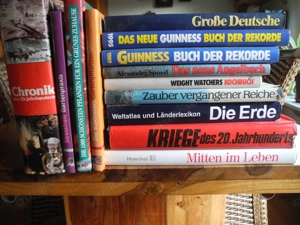 Bücherkonvolut 13 Stück
