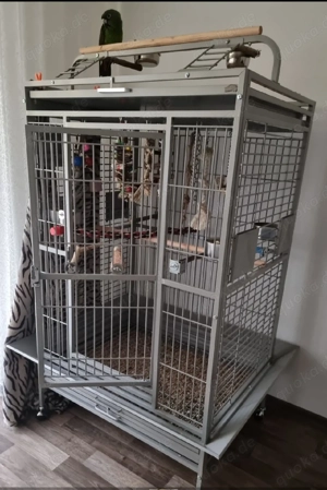 Verkaufe Papageienkäfig 