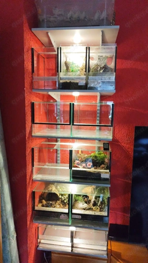 TERRARIUM 30x40x25 Doppellüftung  Kaminlüftung 