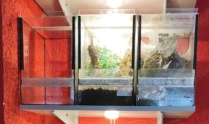 Terrarium 20x30x30 Doppellüftung  