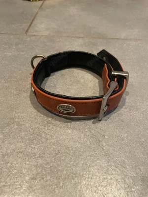 Welpen Halsband 