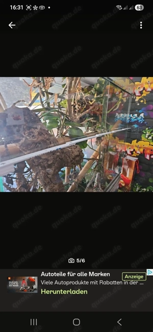 Terrarium 1,00m x1,20m   0,60m