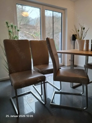 Stühle 6 Stück - Esszimmerstühle, 6 Schwingstühle - zu verkaufen !!!