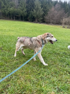 Bali sucht seine Menschen 