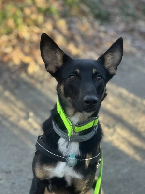 Diego sucht seine Familie 