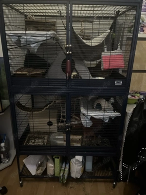 Kleintier Käfig Savic Suite Royal 95